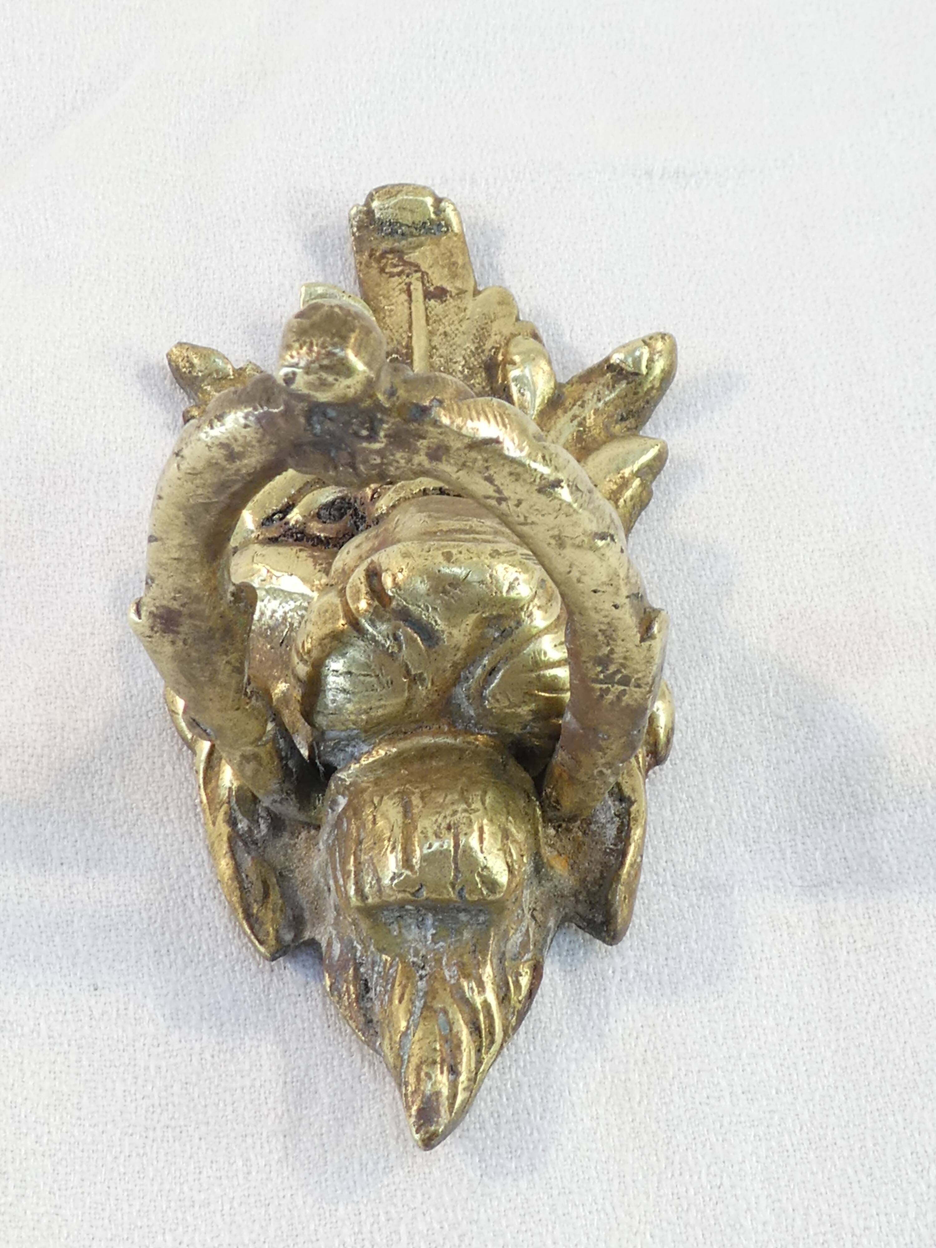 Bronze door knocker Lion's Head