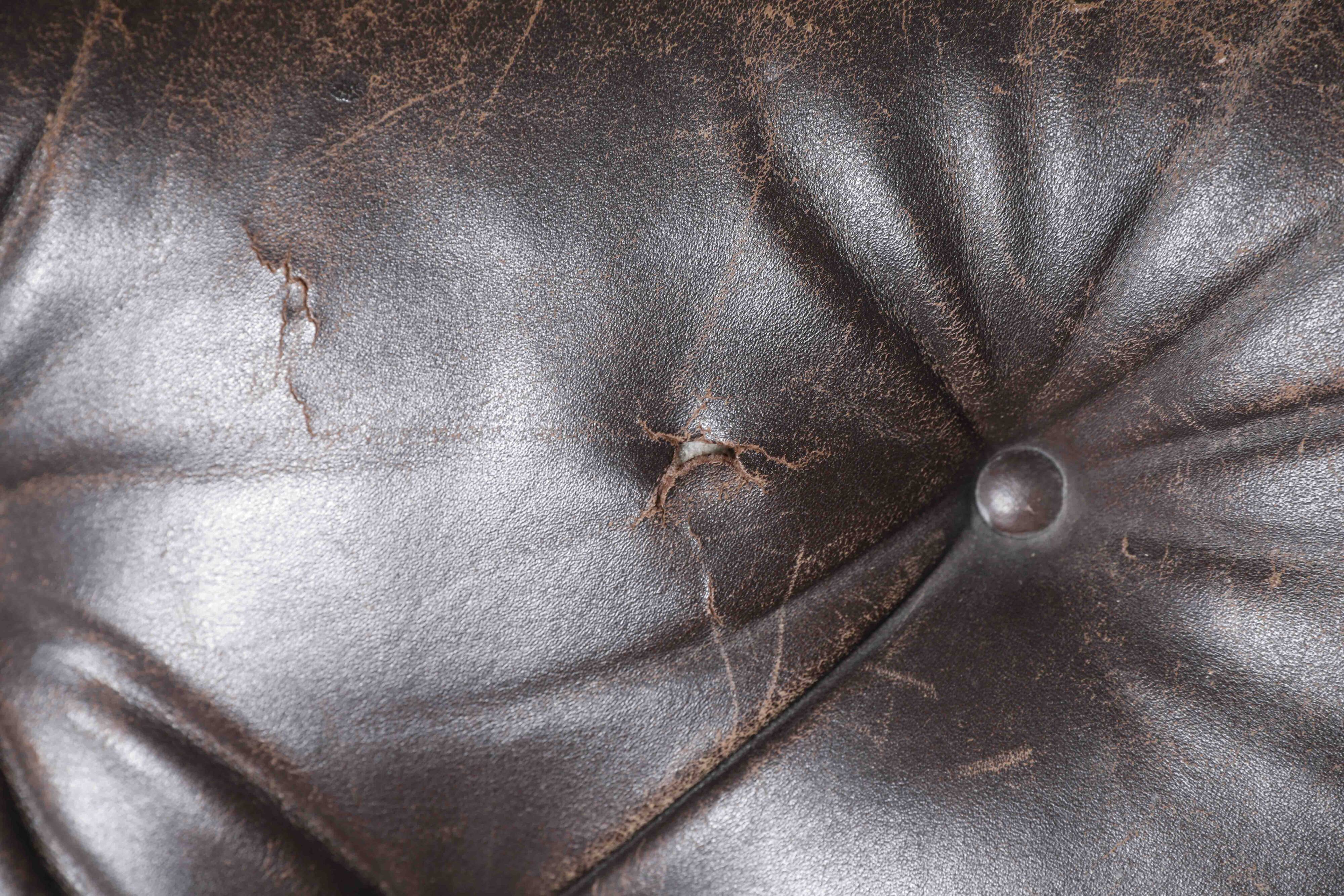 Geoffrey Harcourt for ARTIFORT 1968s Vintage armchair model f976