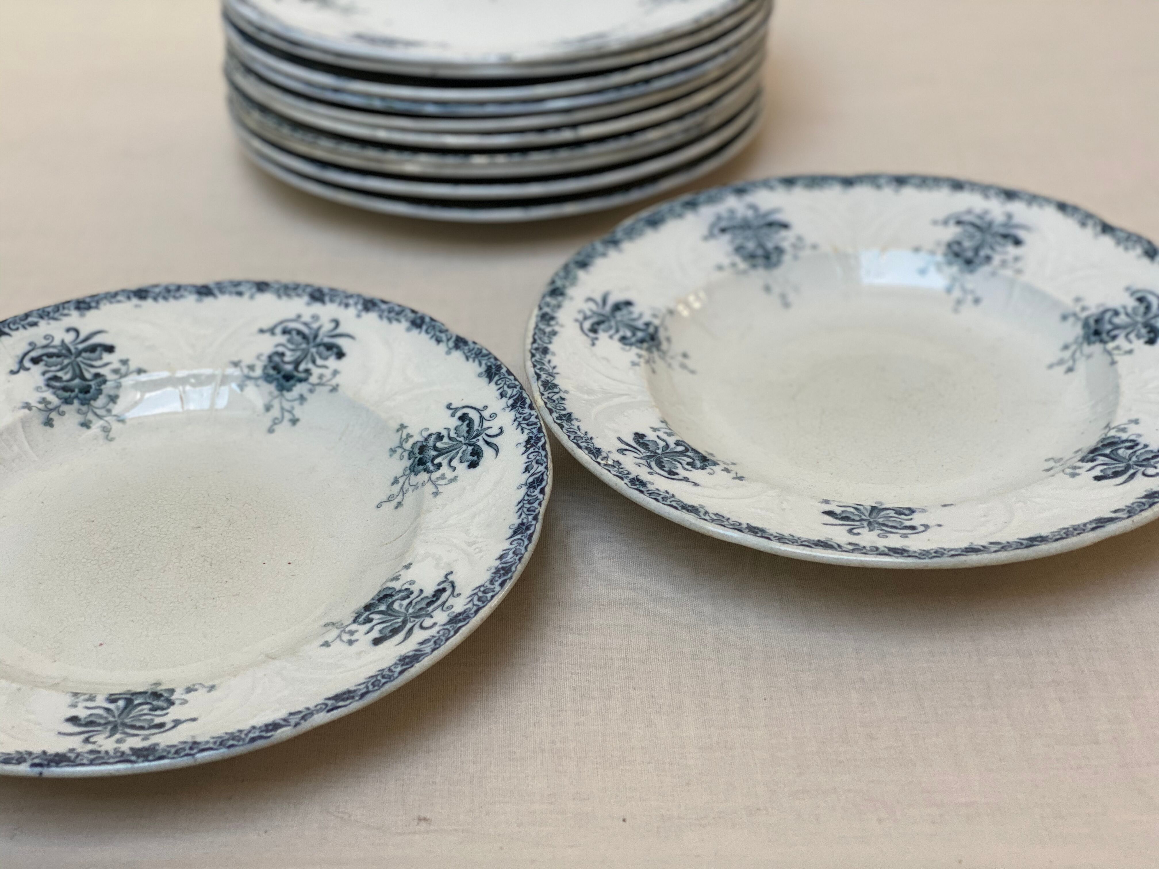 Plates iron earth flowers