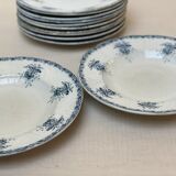 Plates iron earth flowers