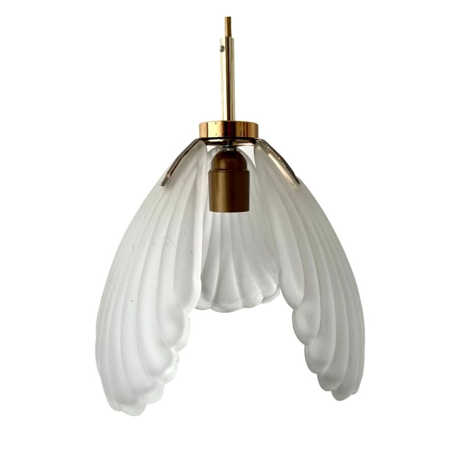 Shell suspension or shell in new electrified glass paste