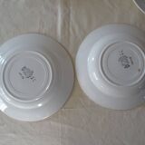 6 assiettes Saint Amand faience ancienne  381112 fleurs rose rouge