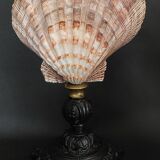 Cabinet de Curiosités coquillage nodipecten subnodosus sur socle