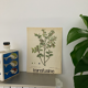Blueberry botanical poster