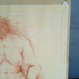 Drawing sanguine study nude female 67/50cm 1950
