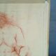 Drawing sanguine study nude female 67/50cm 1950