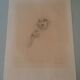 Engraving signed Henri Le Riche portrait of an old woman