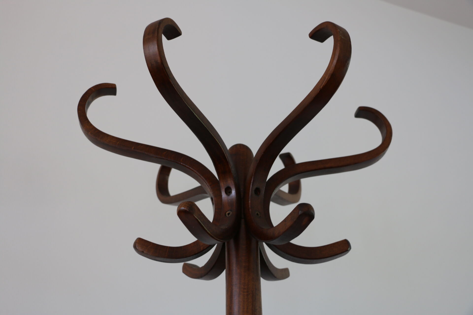 Baumann single dark beech parrot coat rack
