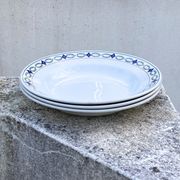 Lot of plates Saint Amand iron land