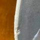 Antique Hiens porcelain dish, iron earth