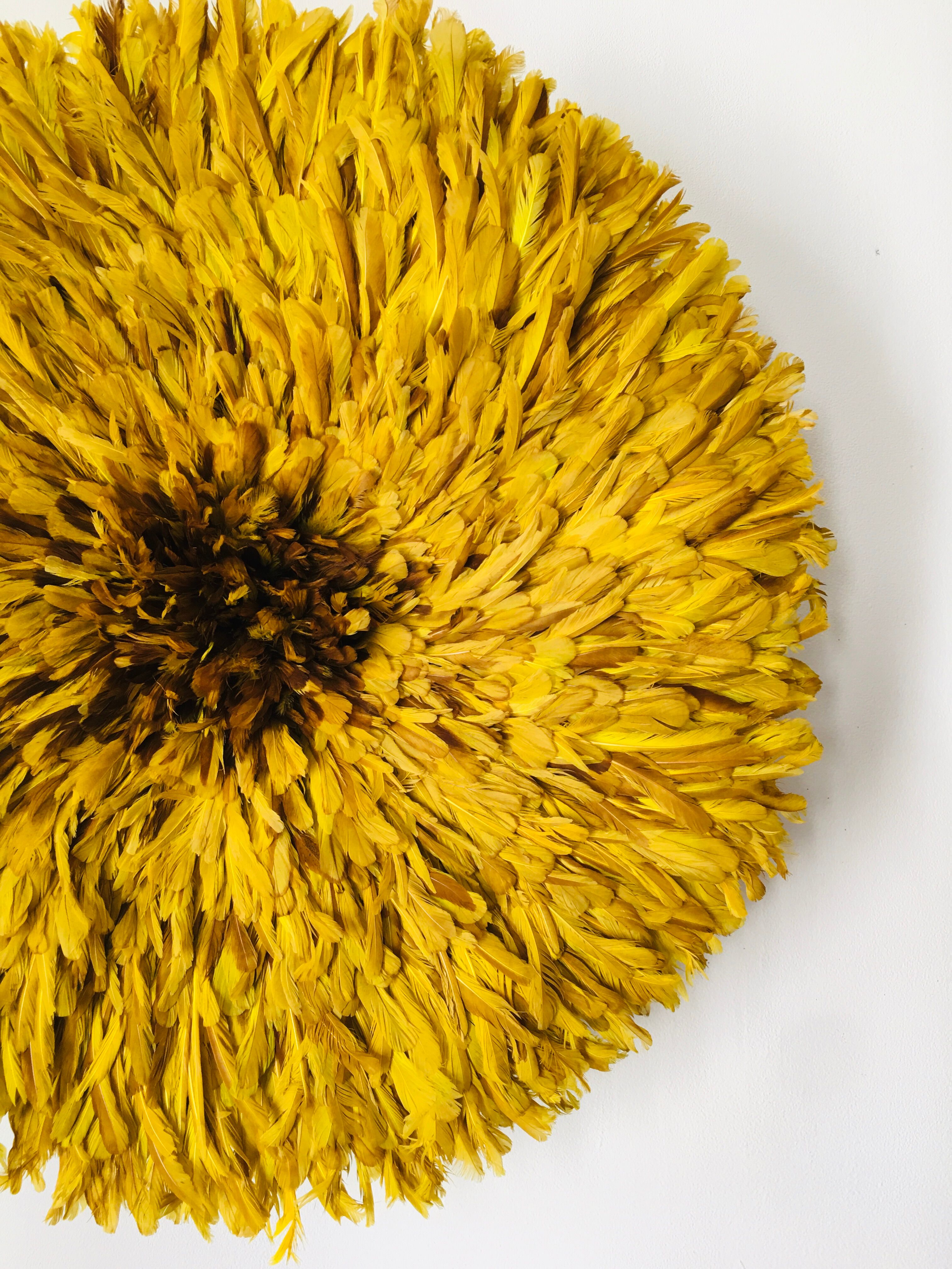 Yellow Jujuhat 80 cm