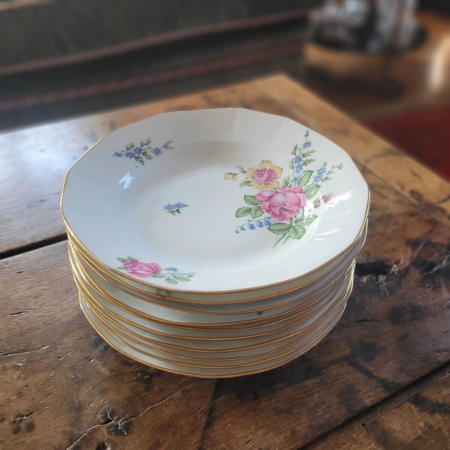 10 Limoges Porcelain Pans Plates – Circa 1915