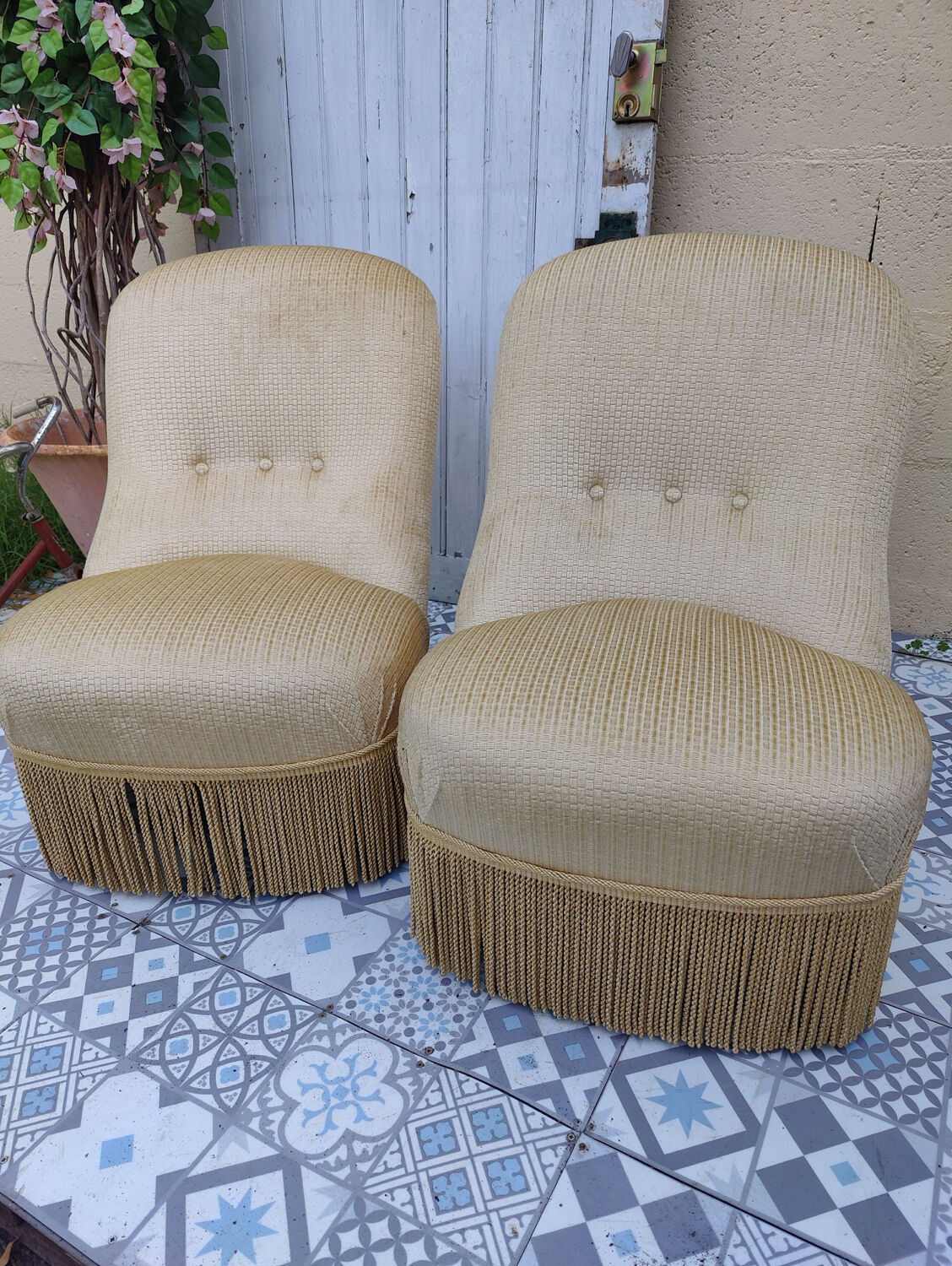 Pair of toad armchairs