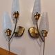 set of 4 glass tulips, for wall or portable lamp