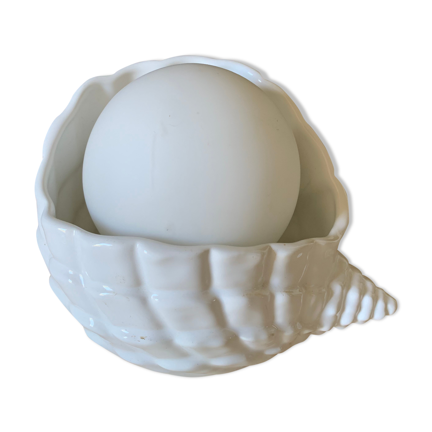 Shell lamp