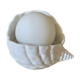 Shell lamp