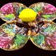 Vintage Vallauris A.M. plate – quadrilobed enamelled bowl with lemon – 50s