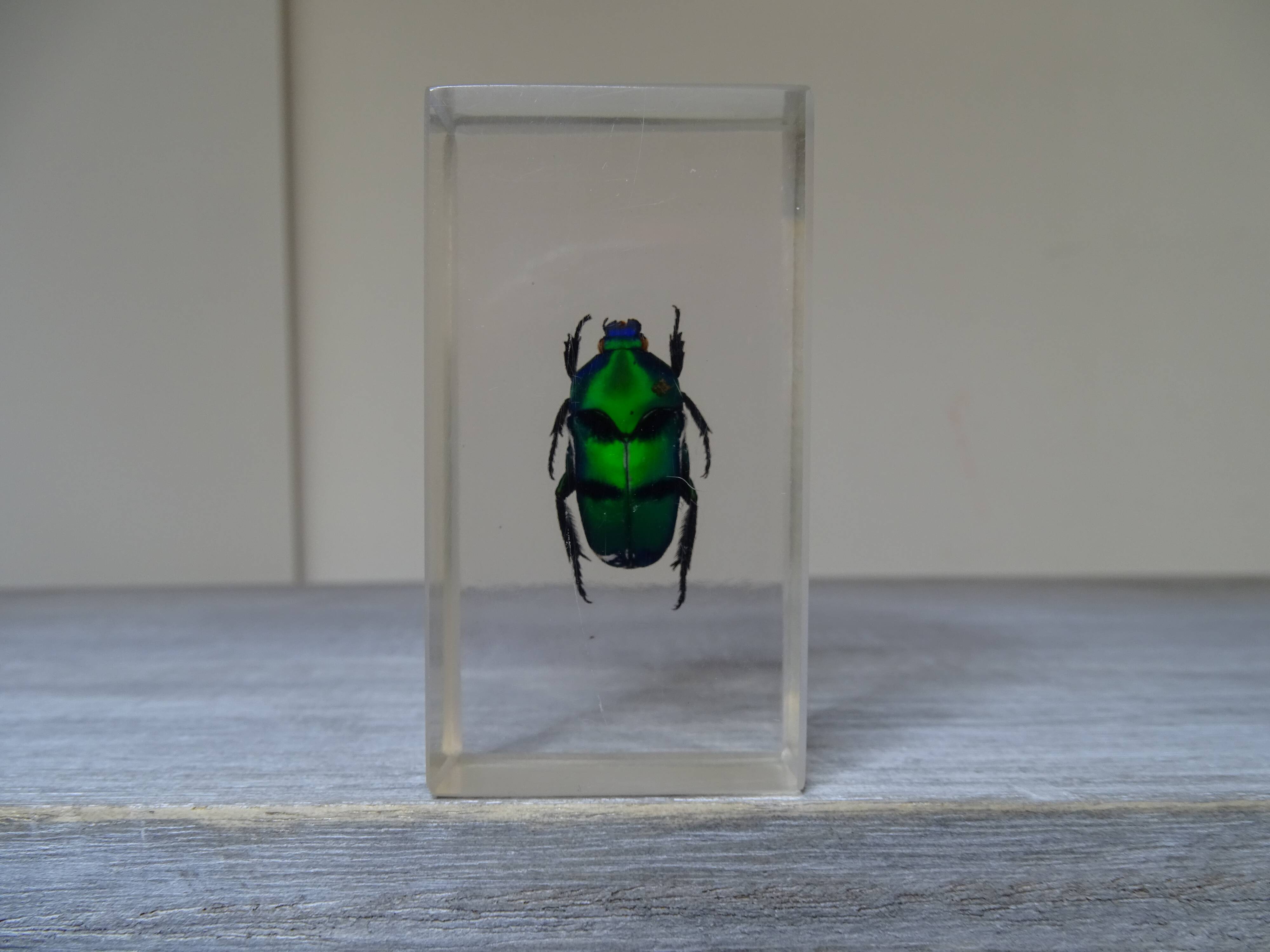 Lot 3 insectes sous inclusions résines vintage