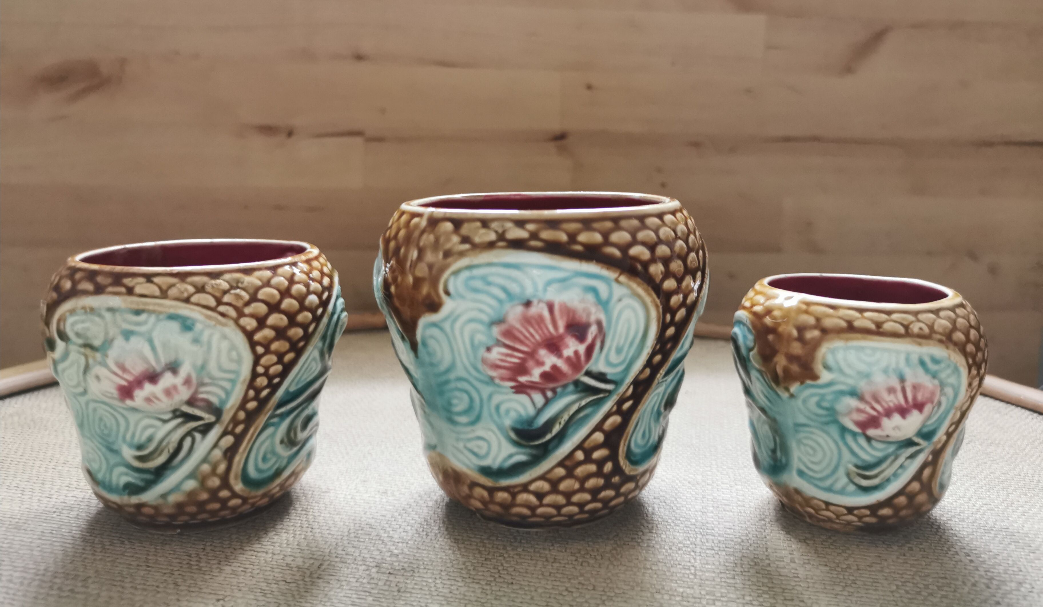 Vases plants in ancient dabbling