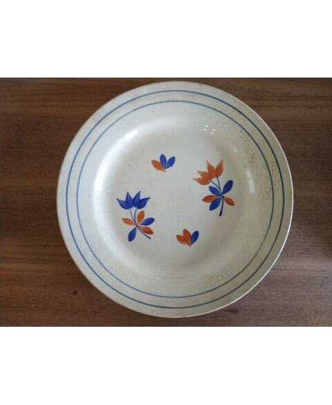 12 plates in Gien porcelain