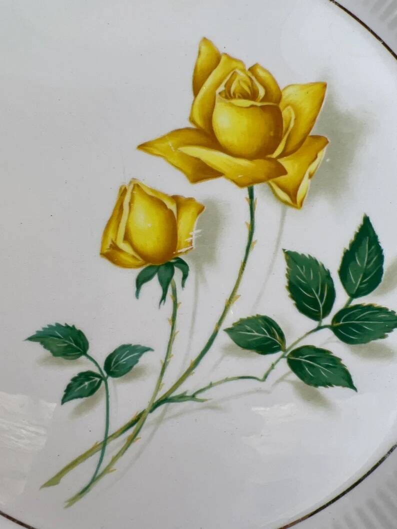 6 assiettes plates blanches rose jaune Moulin des loups Orchies