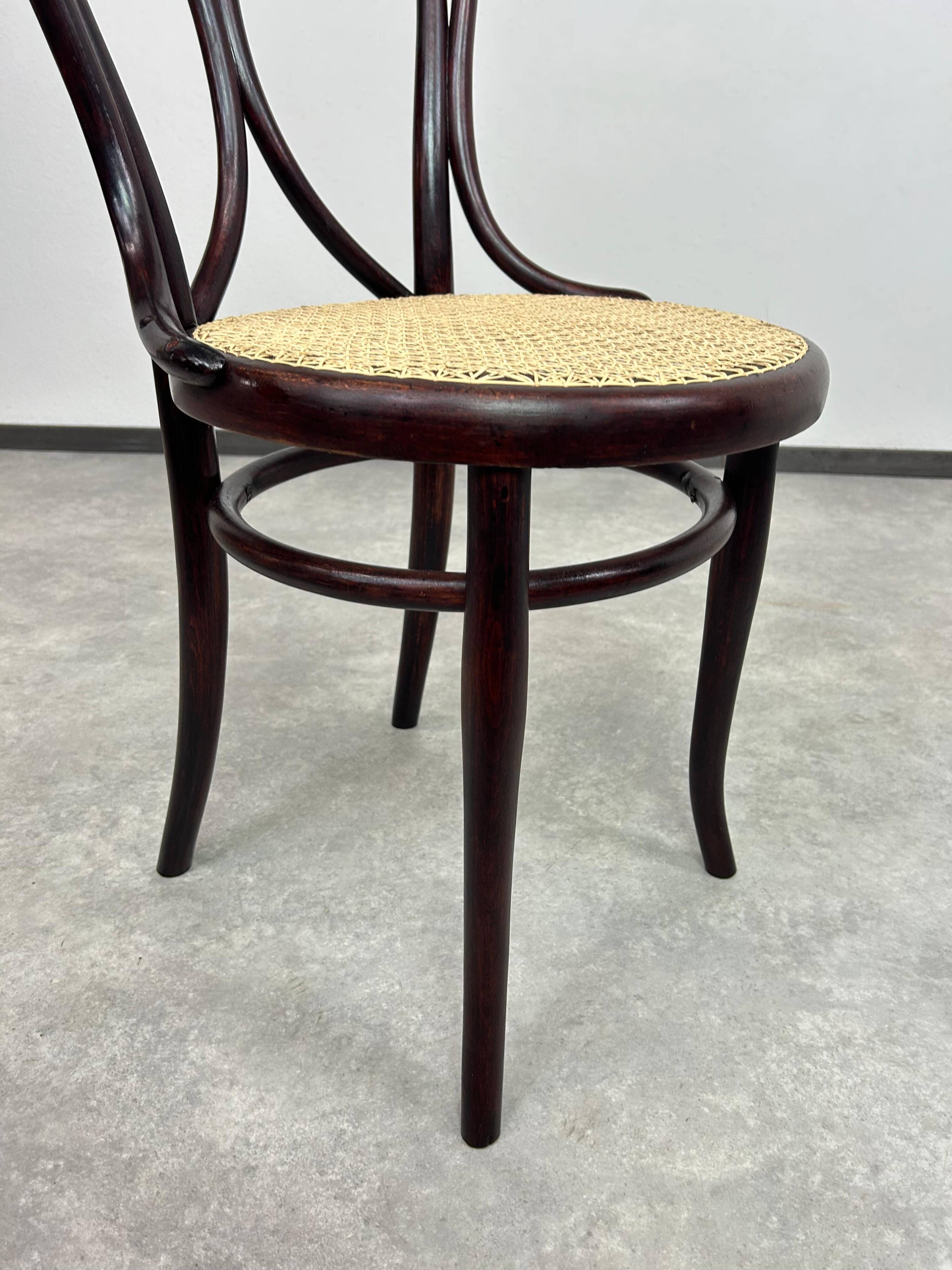 Bentwood dining chair No. 19 by Thonet