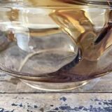 Murano glass pendant light