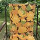 Chaise de camping vintage