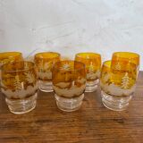 Bohemian crystal liquor service