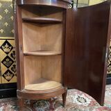 Transition style corner cupboard