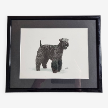 Old photograph, silver print, canine portrait signed "Dim" Henri Dimont 32 x 25 cm