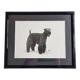 Old photograph, silver print, canine portrait signed "Dim" Henri Dimont 32 x 25 cm