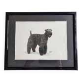 Photographie ancienne, tirage argentique, portrait canin signé "Dim" Henri Dimont 32 x 25 cm