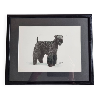 Old photograph, silver print, canine portrait signed "Dim" Henri Dimont 32 x 25 cm