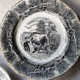 Old plate