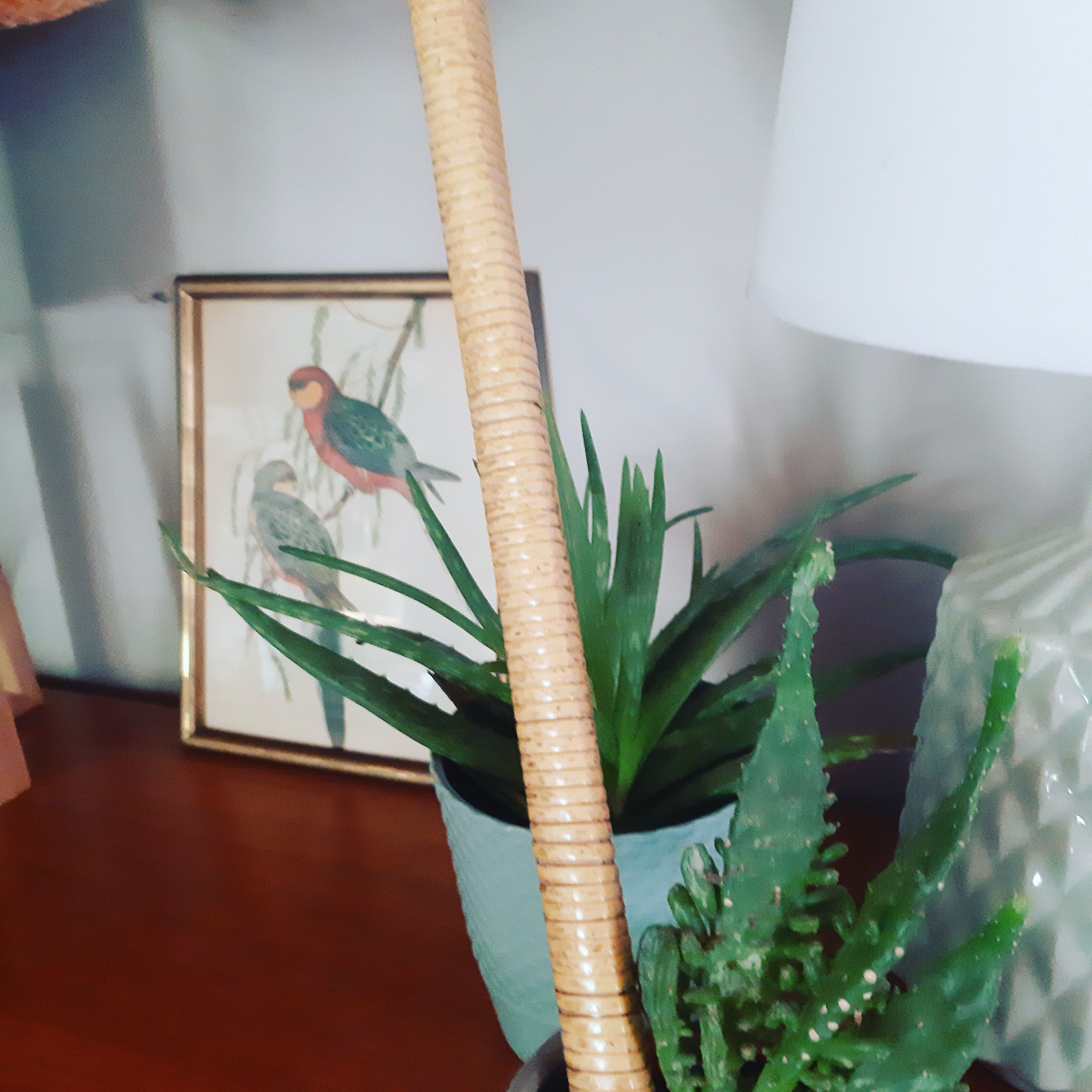 Grande palme en osier des années 60