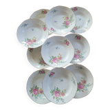 10 Limoges Porcelain Pans Plates – Circa 1915
