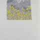 Georges Braque René Char Lithographie