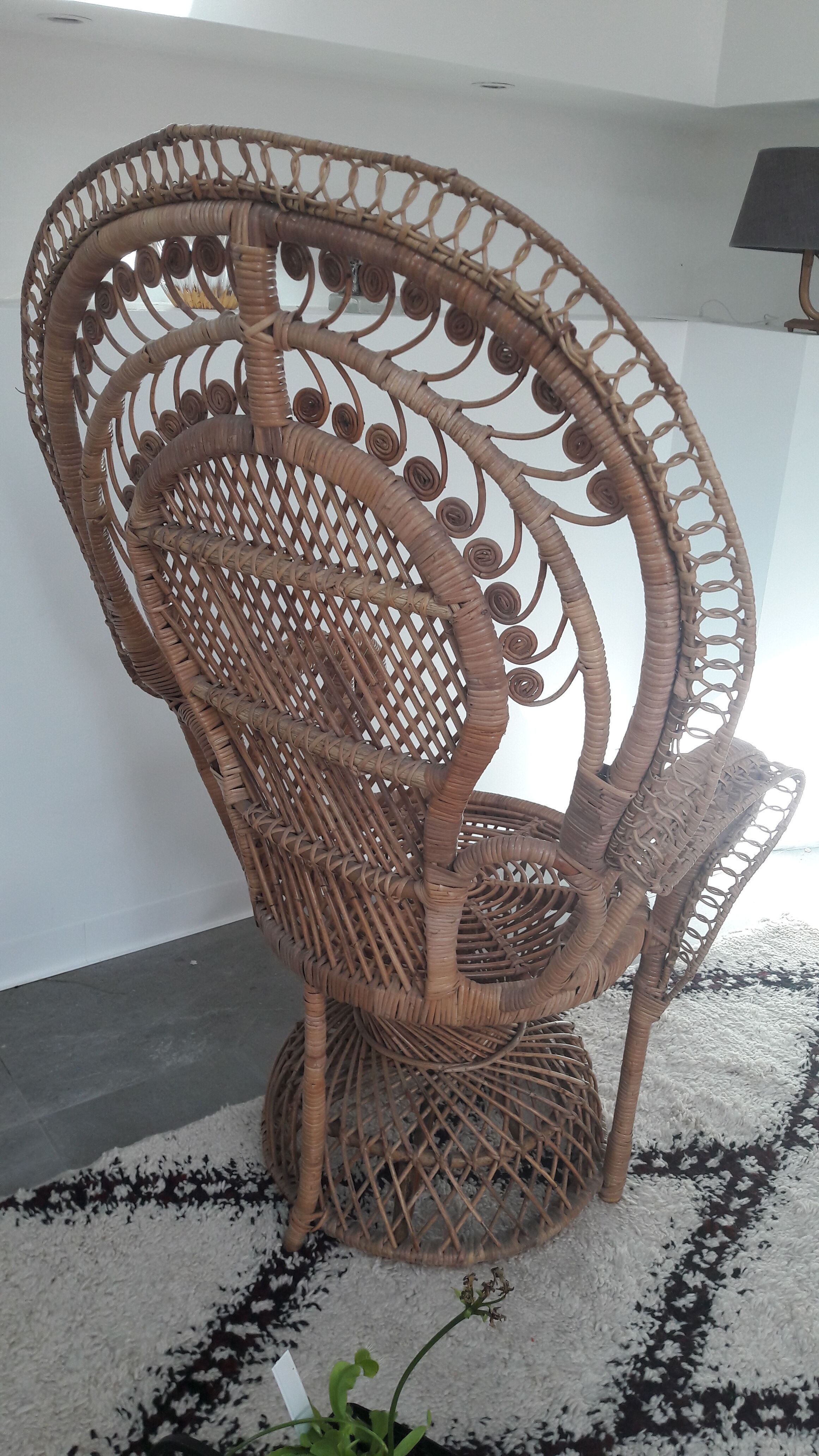 Emmanuelle peacock armchair