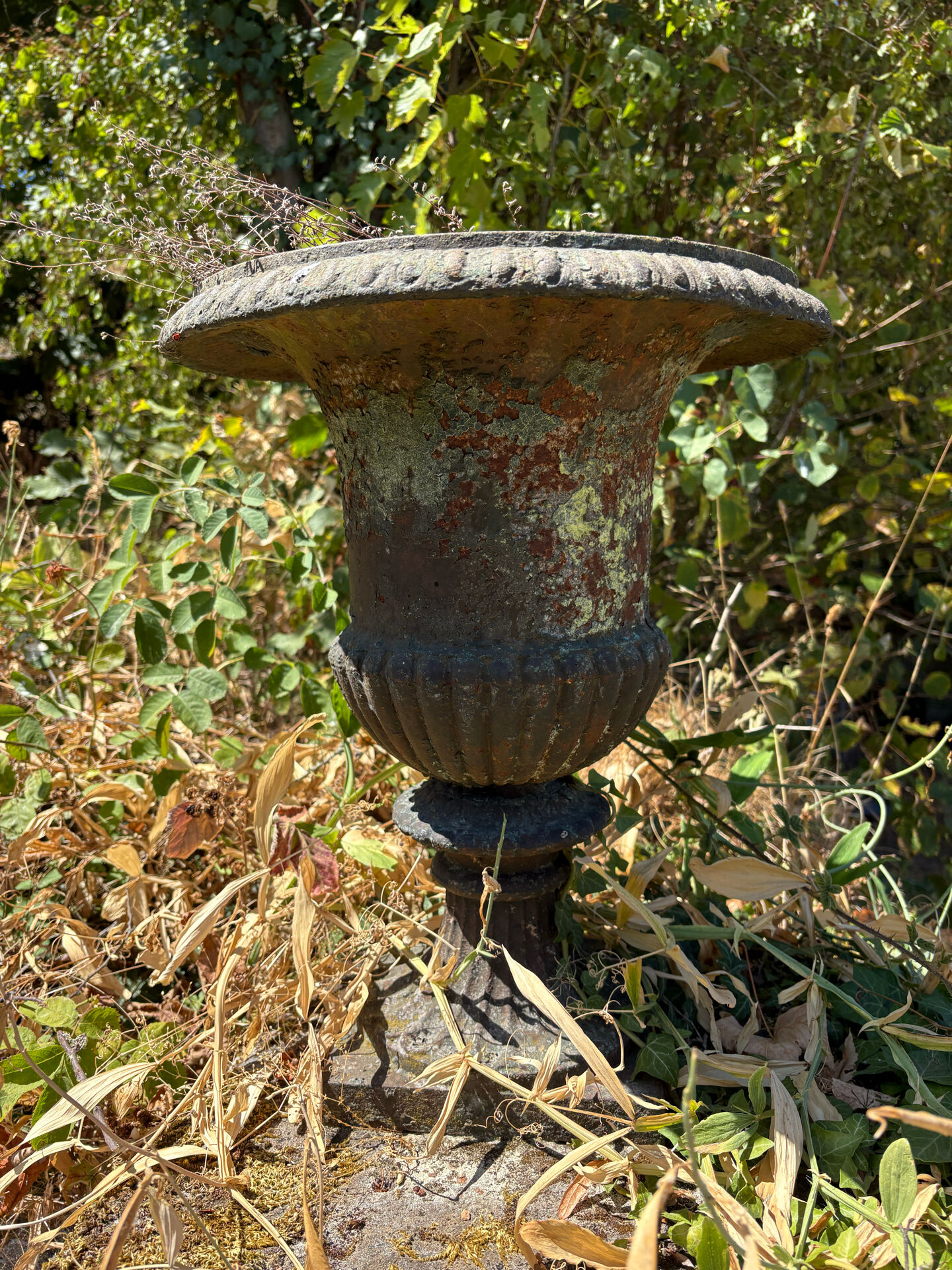 Pair of Médicis vases in cast iron