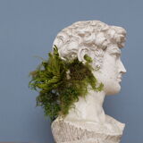 Head David in full plaster