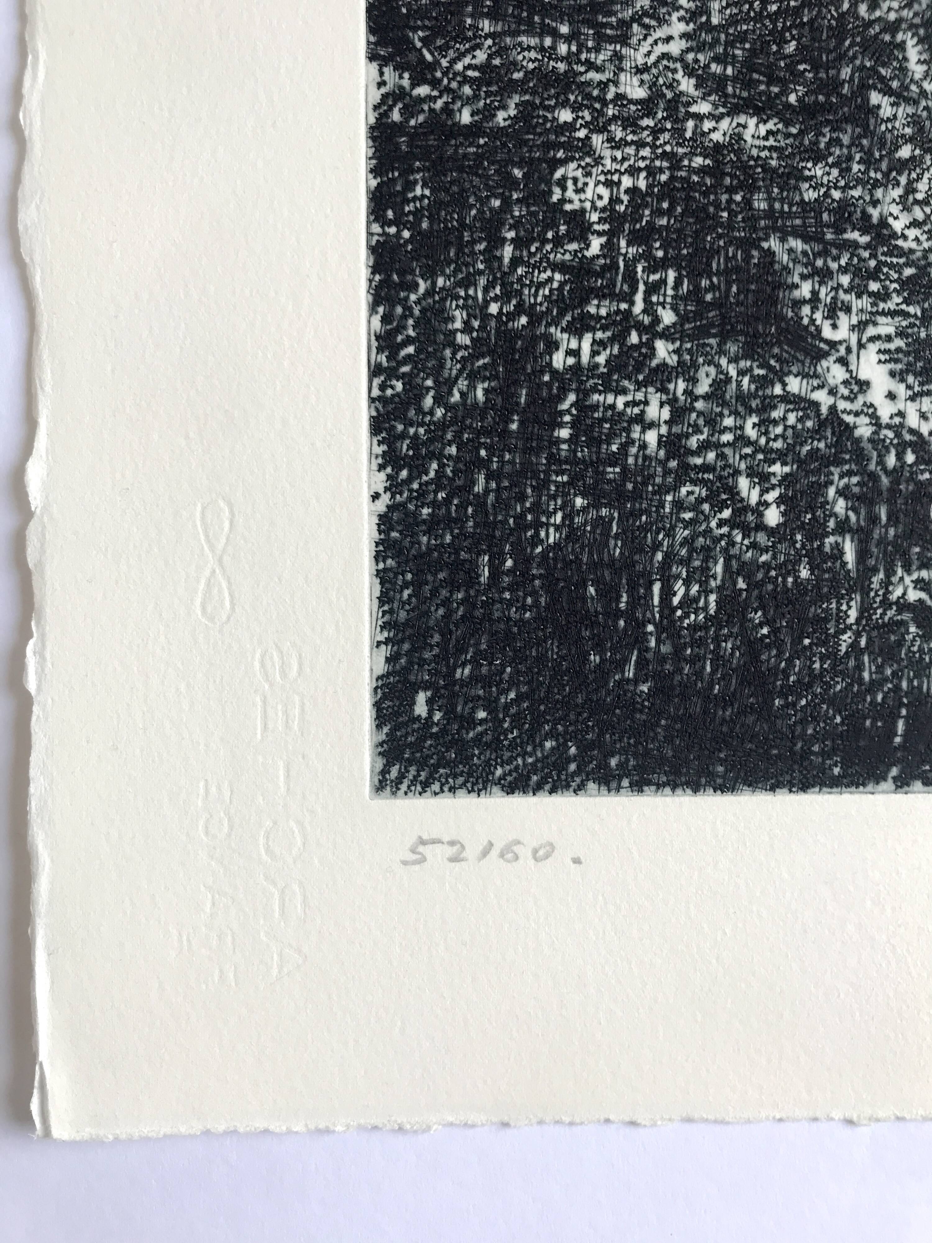 Nicole BOUHARMONT, Parc de Sceaux I, 2003-16. Drypoint signed in pencil