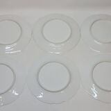 6 Superbes Assiettes Anciennes XIXème En Porcelaine Blanche Décor Oiseaux