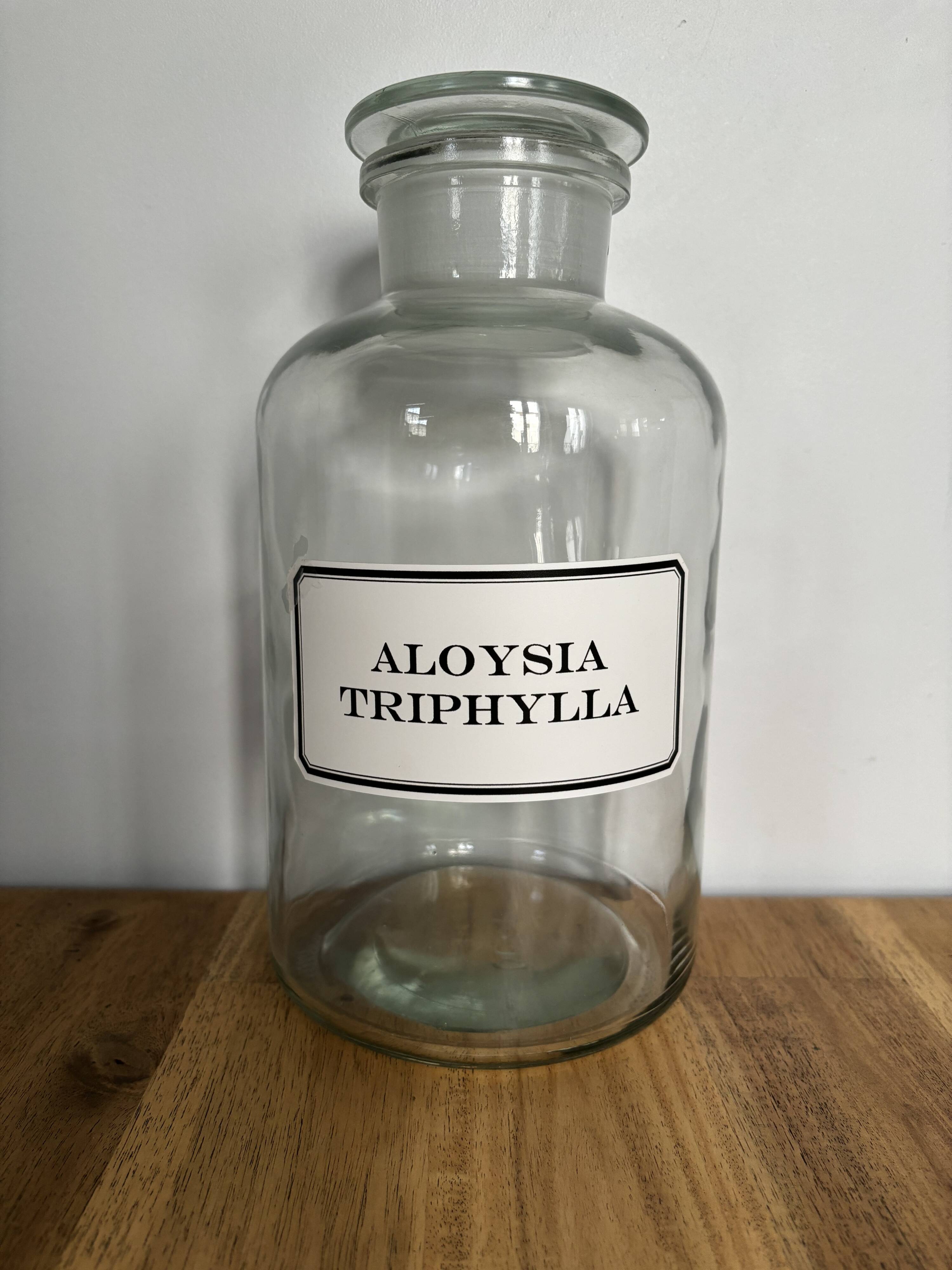 Apothecary bottles - vintage