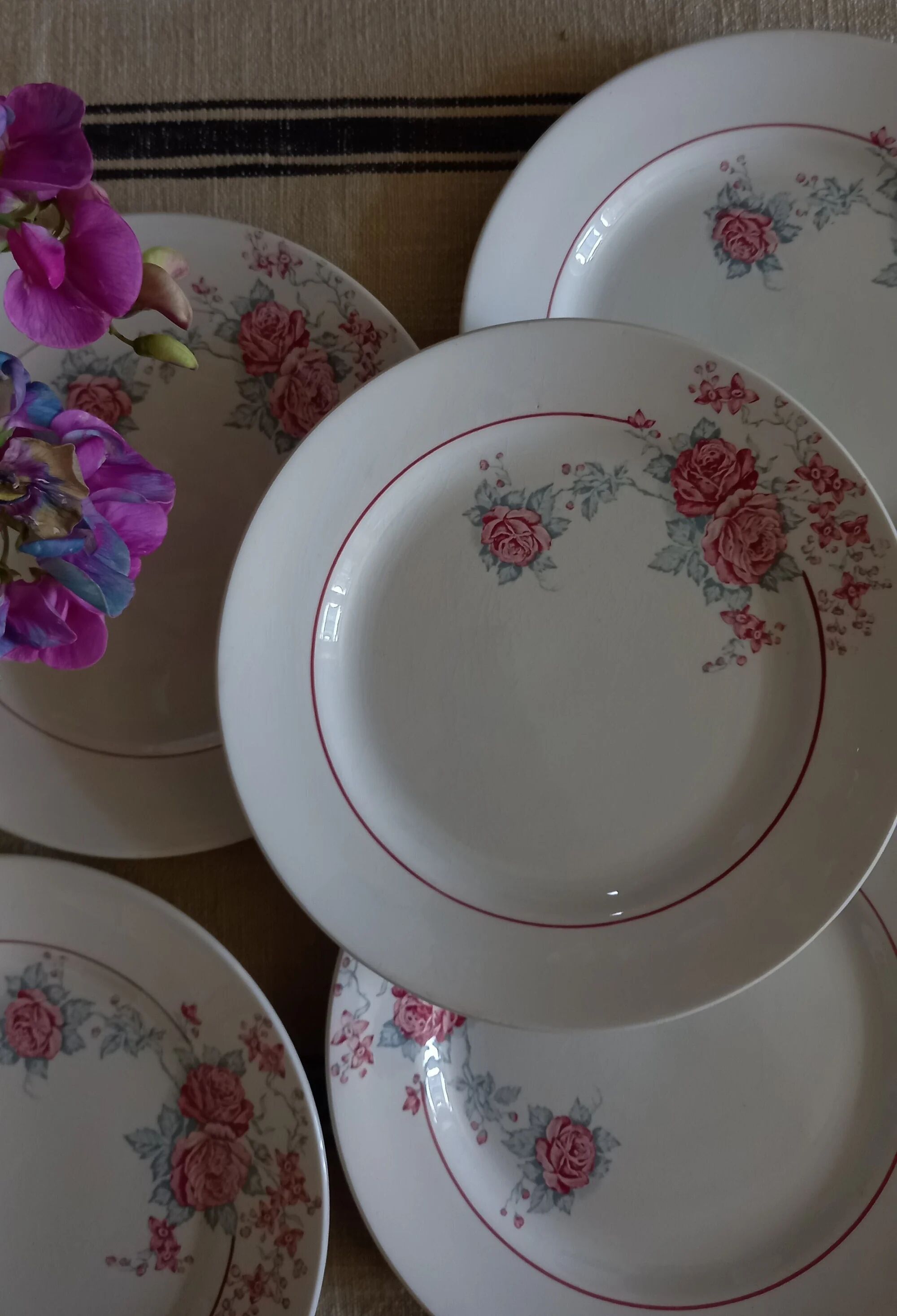 "Thalie" - 6 flat plates ironstone Saint-Amand