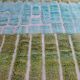 Tapis marocain vert amande et bleu vert à reliefs moderne