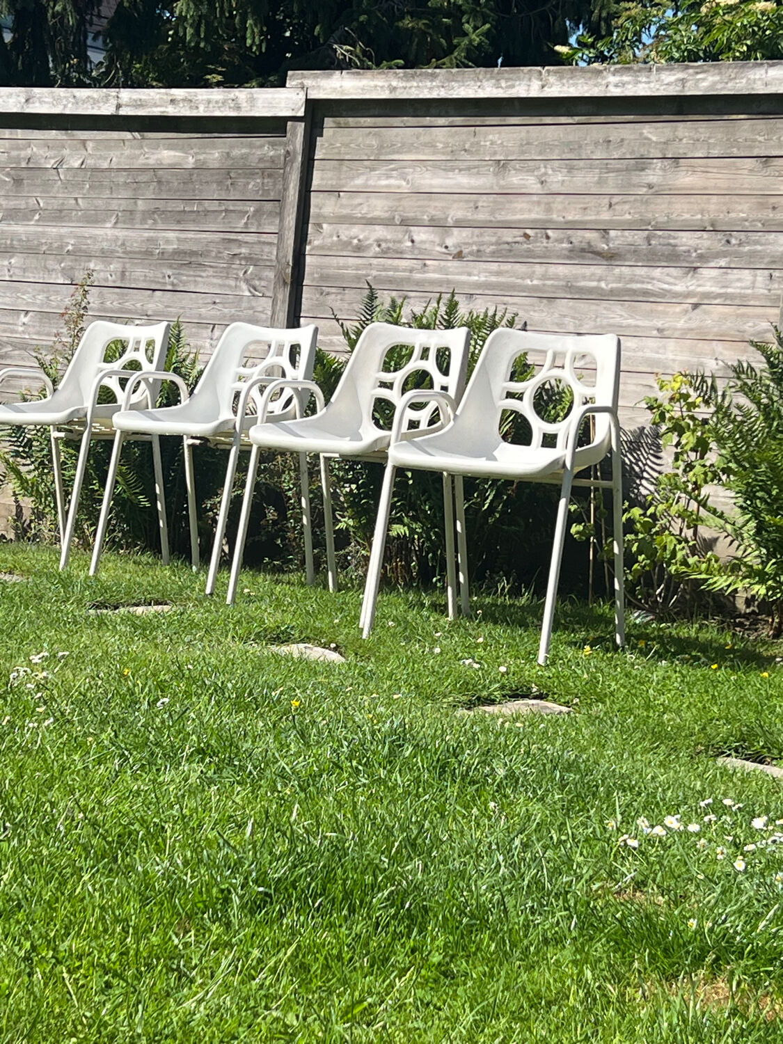 4 vintage Sicopal chairs