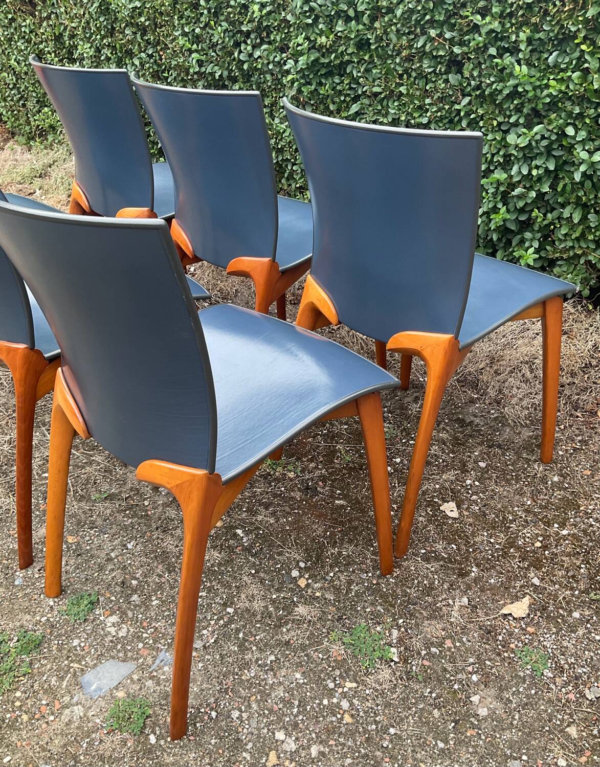 Série de 6 chaises Cassina par Josep Llusca