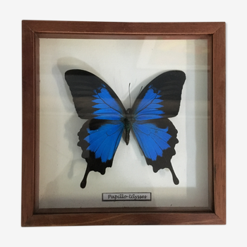 Butterfly frame