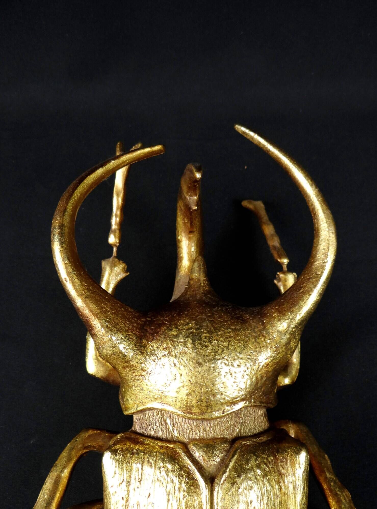 Contemporary style golden scarab wall sculpture in resin and metal